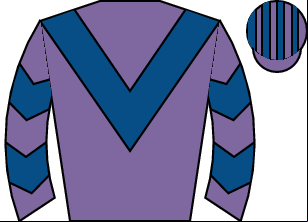 Horse silk