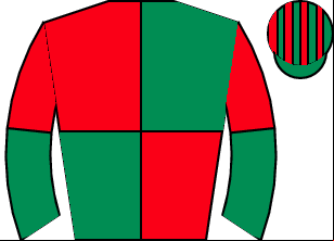 Horse silk