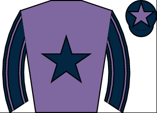 Horse silk