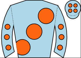 Horse silk