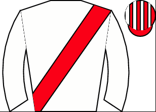 Horse silk