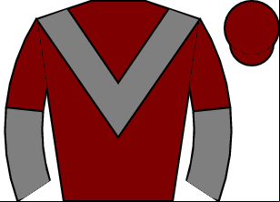Horse silk