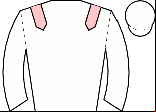 Horse silk