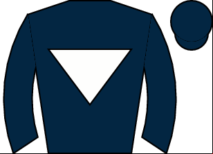 Horse silk