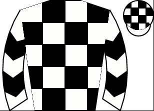 Horse silk