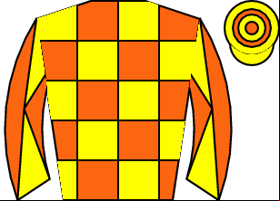 Horse silk