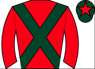 Horse silk