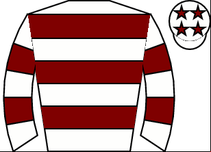 Horse silk
