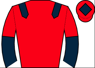 Horse silk