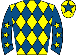 Horse silk
