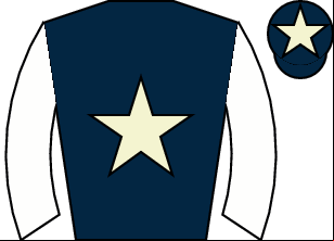 Horse silk