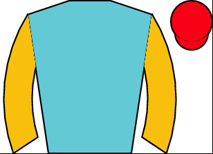 Horse silk