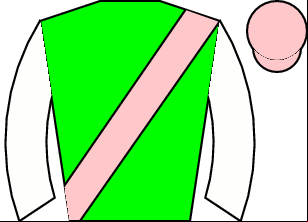 Horse silk