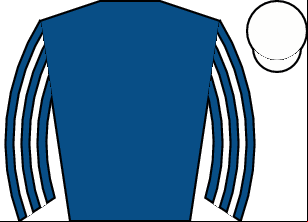 Horse silk