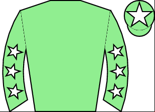 Horse silk