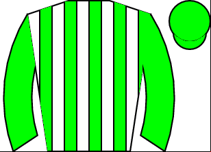 Horse silk