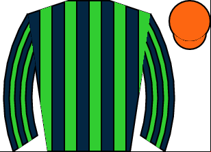 Horse silk