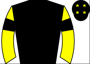 Horse silk