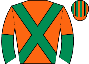 Horse silk