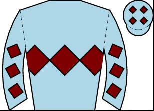 Horse silk