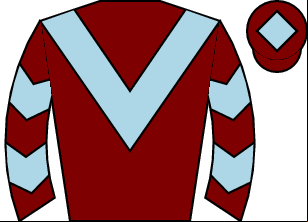 Horse silk