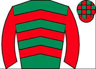 Horse silk