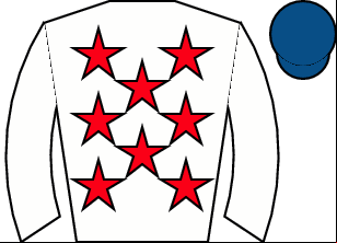 Horse silk