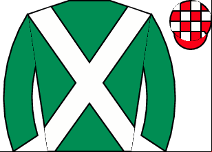 Horse silk