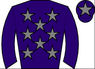 Horse silk