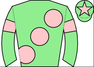 Horse silk
