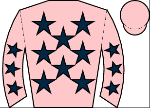 Horse silk