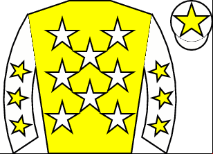 Horse silk