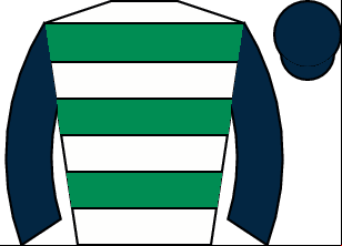 Horse silk