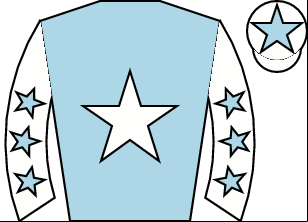 Horse silk