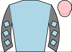 Horse silk