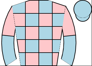 Horse silk