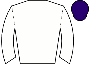 Horse silk