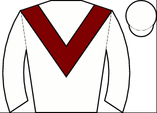 Horse silk