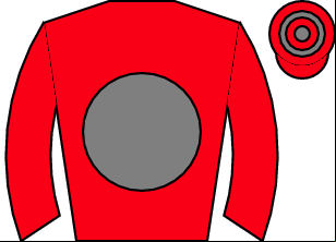 Horse silk