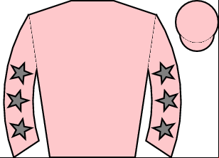 Horse silk