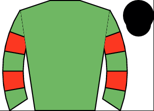 Horse silk