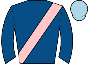 Horse silk