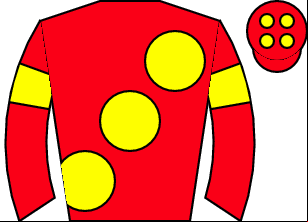 Horse silk