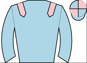 Horse silk