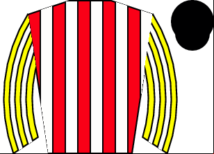 Horse silk
