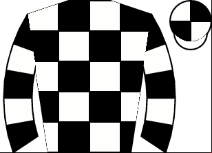 Horse silk