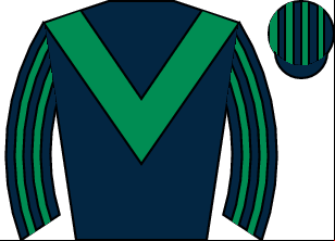 Horse silk