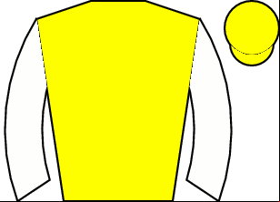 Horse silk