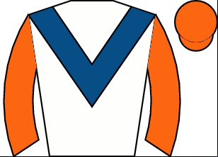 Horse silk