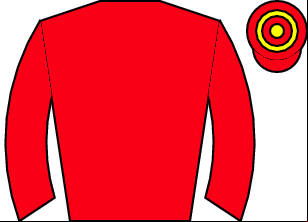 Horse silk